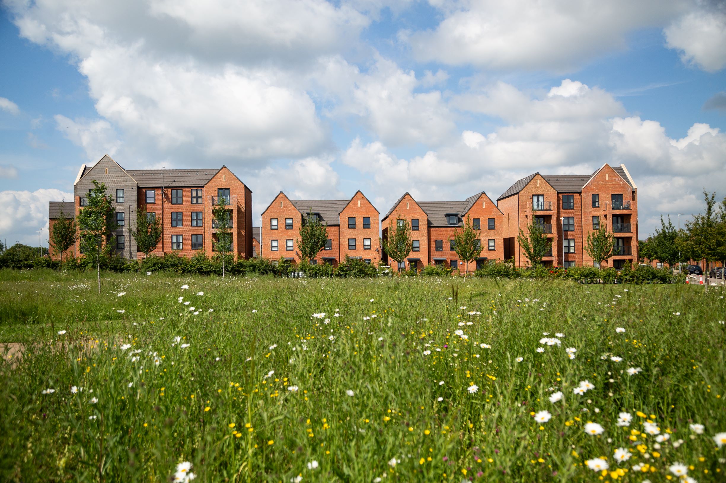 Row of modern brick houses with red and grey facades behind green meadow with white wildflowers under cloudy blue sky.