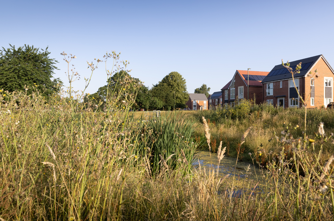 Modern brick houses with orange-tiled roofs behind overgrown grassland with small pond. Blue sky with white clouds above green trees.