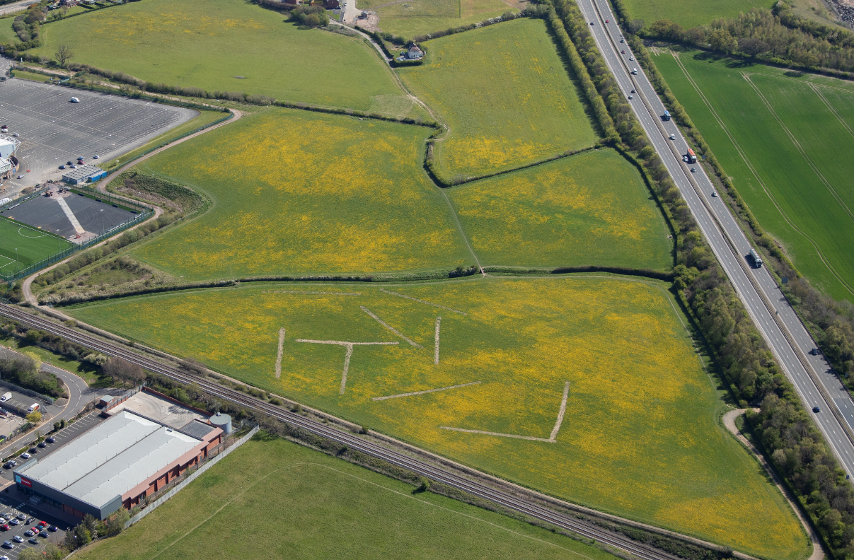 Aerial view of football pitches with yellow flowering plants across the grass, railway line, dual carriageway, and surrounding green fields.