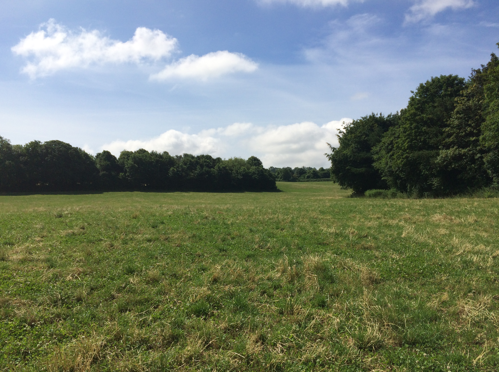 Large green field bordered by dense woodland under partly cloudy blue sky.