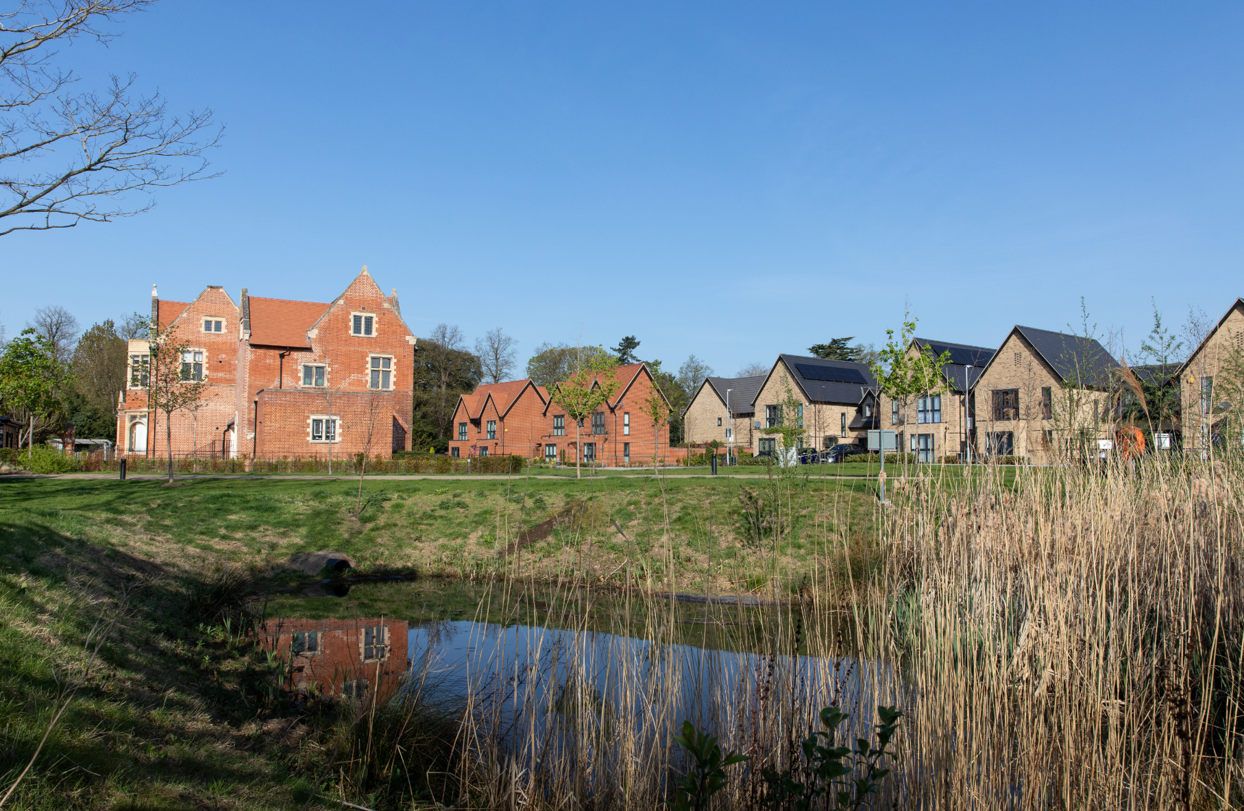 Modern housing estate with brick and rendered homes beside pond with reed beds under clear blue sky.