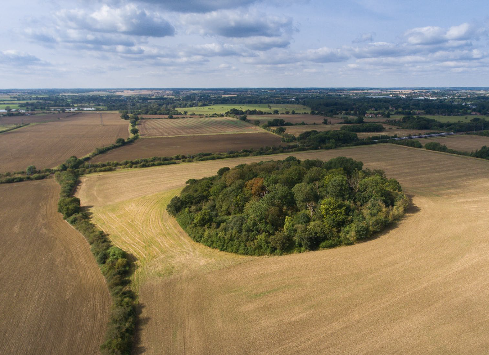 Aerial view of agricultural landscape with golden harvested fields surrounding a circular patch of green woodland under cloudy sky.