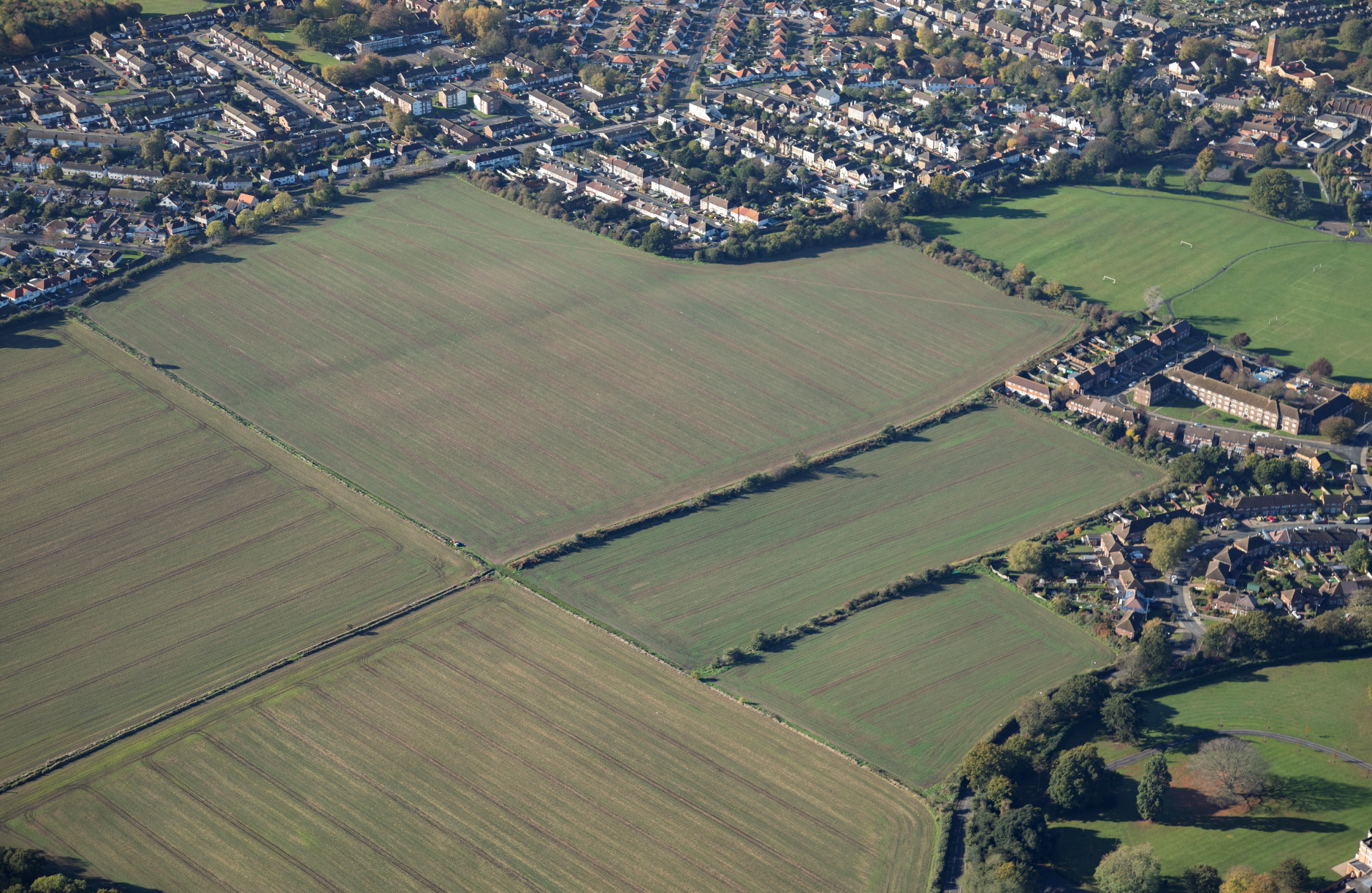 Aerial view of green agricultural fields surrounded by residential housing estates with roads and trees forming boundaries.